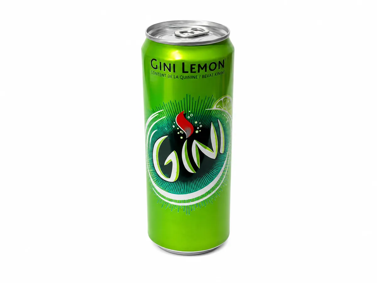 Gini blik